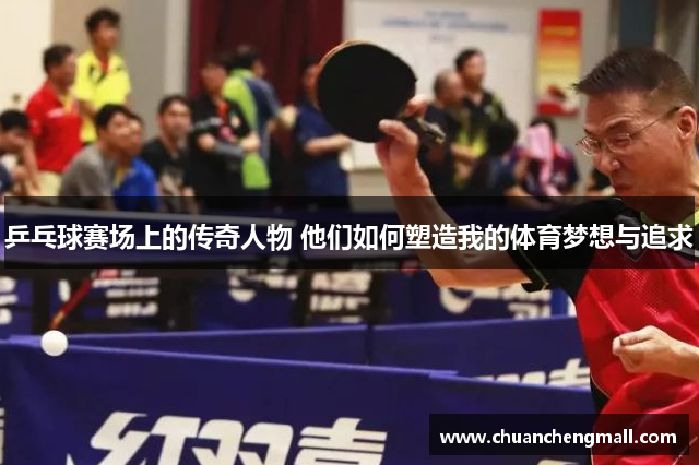 乒乓球赛场上的传奇人物 他们如何塑造我的体育梦想与追求