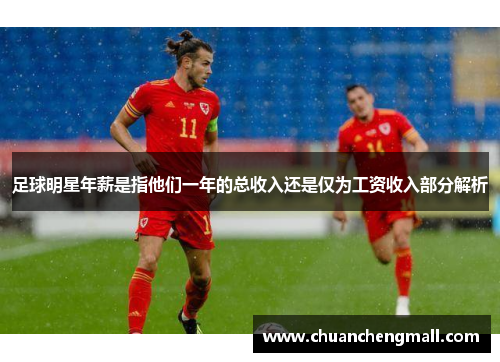 足球明星年薪是指他们一年的总收入还是仅为工资收入部分解析